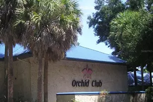 11440 SW 84th Avenue Rd, Ocala, FL 34481 - Photo 35