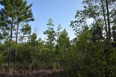 22370 NE 130th Avenue, Fort Mc Coy, FL 32134 - Photo 19