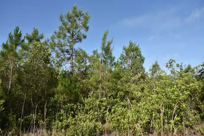 22370 NE 130th Avenue, Fort Mc Coy, FL 32134 - Photo 35