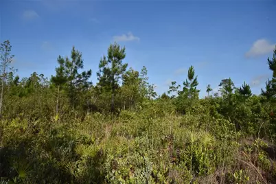 22370 NE 130th Avenue, Fort Mc Coy, FL 32134 - Photo 33