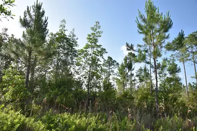 22370 NE 130th Avenue, Fort Mc Coy, FL 32134 - Photo 15