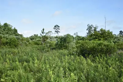 22370 NE 130th Avenue, Fort Mc Coy, FL 32134 - Photo 13