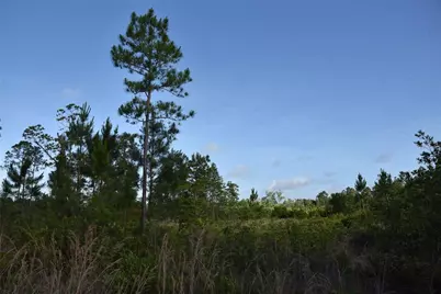 22370 NE 130th Avenue, Fort Mc Coy, FL 32134 - Photo 29