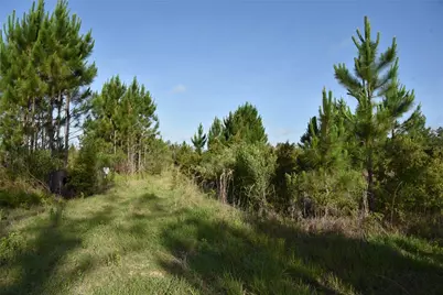 22370 NE 130th Avenue, Fort Mc Coy, FL 32134 - Photo 7