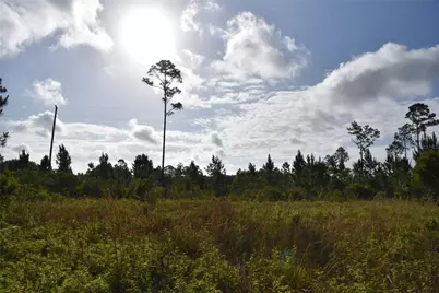 22370 NE 130th Avenue, Fort Mc Coy, FL 32134 - Photo 1