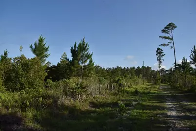 22370 NE 130th Avenue, Fort Mc Coy, FL 32134 - Photo 3