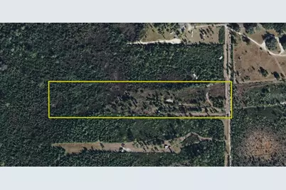 22370 NE 130th Avenue, Fort Mc Coy, FL 32134 - Photo 5