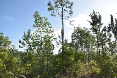 22370 NE 130th Avenue, Fort Mc Coy, FL 32134 - Photo 27