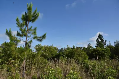 22370 NE 130th Avenue, Fort Mc Coy, FL 32134 - Photo 37