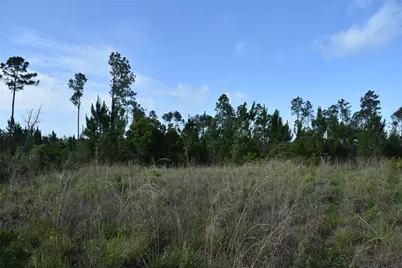 22370 NE 130th Avenue, Fort Mc Coy, FL 32134 - Photo 25