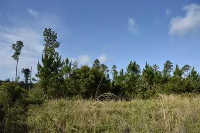 22370 NE 130th Avenue, Fort Mc Coy, FL 32134 - Photo 23