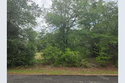 Sw 202nd Court, Dunnellon, FL 34431 - Photo 3