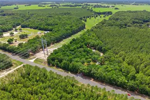 7050 NE State Road 121, Williston, FL 32696 - Photo 45