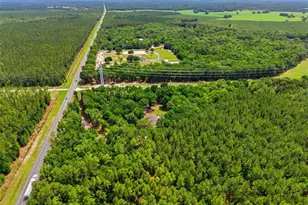 7050 NE State Road 121, Williston, FL 32696 - Photo 47