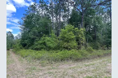 Tbd SW 159th Avenue, Ocala, FL 34481 - Photo 1