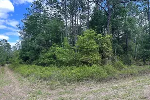 Tbd SW 159th Ave, Ocala, FL 34481 - Photo 1