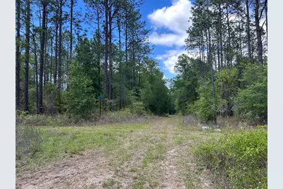 Tbd SW 159th Avenue, Ocala, FL 34481 - Photo 3