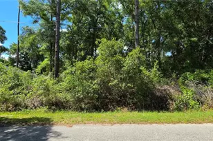Lot 10 NW 61 Ln, Ocala, FL 34482 - Photo 1