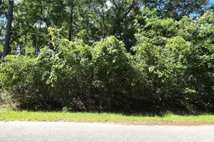 Tbd Lot 11 NW 61st Ln, Ocala, FL 34482 - Photo 1