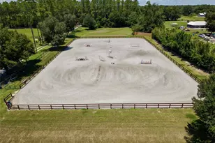 7191 NE 150th Ave, Williston, FL 32696 - Photo 3