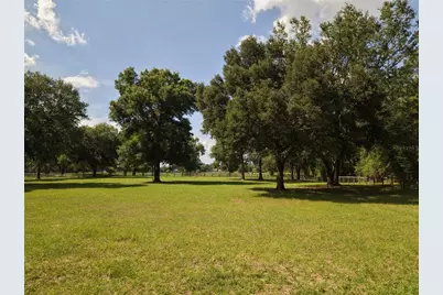 7191 NE 150th Avenue, Williston, FL 32696 - Photo 45