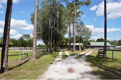 7191 NE 150th Avenue, Williston, FL 32696 - Photo 5
