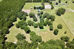 7191 NE 150th Ave, Williston, FL 32696 - Photo 53