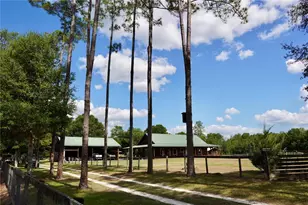 7191 NE 150th Ave, Williston, FL 32696 - Photo 5