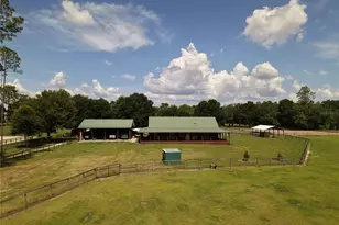 7191 NE 150th Ave, Williston, FL 32696 - Photo 45