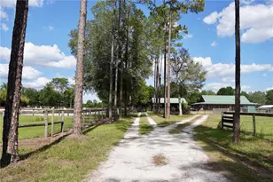 7191 NE 150th Ave, Williston, FL 32696 - Photo 9