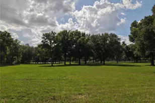 7191 NE 150th Ave, Williston, FL 32696 - Photo 41