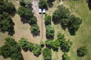7191 NE 150th Ave, Williston, FL 32696 - Photo 39