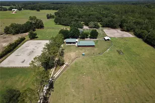 7191 NE 150th Ave, Williston, FL 32696 - Photo 5