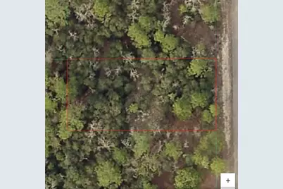 Tbd SW Seaweed Avenue, Dunnellon, FL 34431 - Photo 1