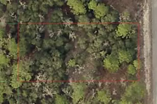 Tbd SW Seaweed Ave, Dunnellon, FL 34431 - Photo 1