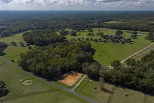 9095 NW 200th Street Rd, Micanopy, FL 32667 - Photo 25