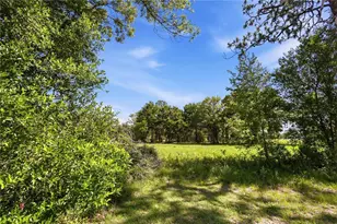 15191 NE 9th St, Williston, FL 32696 - Photo 51