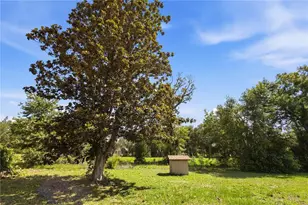 15191 NE 9th St, Williston, FL 32696 - Photo 45