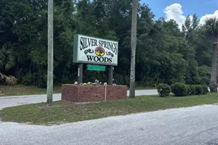 2391 SE 176th Ave, Silver Springs, FL 34488 - Photo 37