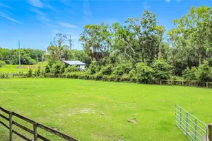 1919 NW 100th St, Ocala, FL 34475 - Photo 39
