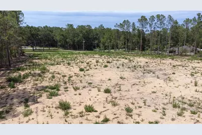 0 SW 48th Lane Road, Ocala, FL 34481 - Photo 5
