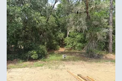17889 SW 61st Lane Road, Dunnellon, FL 34432 - Photo 7
