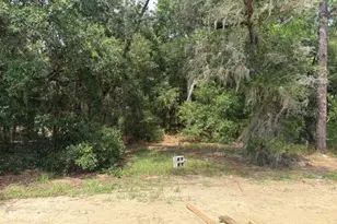 17889 SW 61st Ln Rd, Dunnellon, FL 34432 - Photo 7