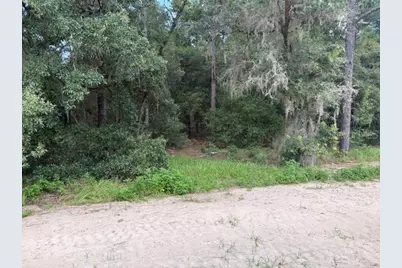17889 SW 61st Lane Road, Dunnellon, FL 34432 - Photo 11