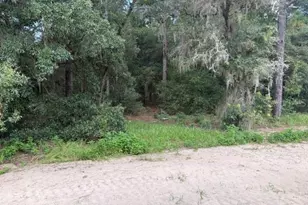 17889 SW 61st Ln Rd, Dunnellon, FL 34432 - Photo 11