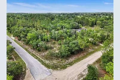 Tbd SE 218th Avenue, Morriston, FL 32668 - Photo 17