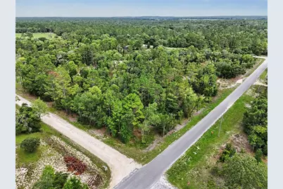 Tbd SE 218th Avenue, Morriston, FL 32668 - Photo 13
