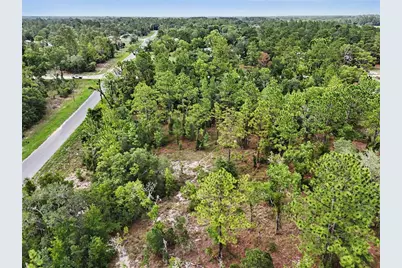 Tbd SE 218th Avenue, Morriston, FL 32668 - Photo 11