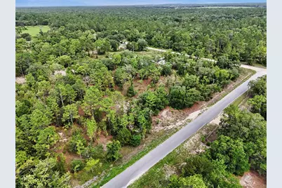Tbd SE 218th Avenue, Morriston, FL 32668 - Photo 15