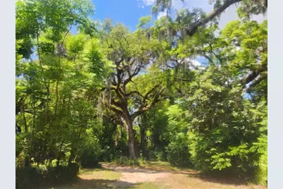 1985 NE 97th Streed Road, Anthony, FL 32617 - Photo 37